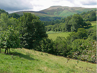 A view of Wales from Artisan Digital Services